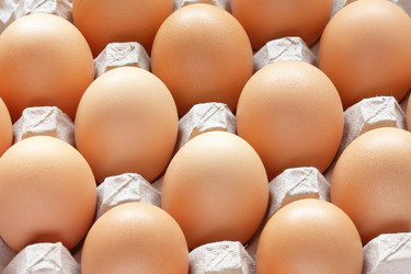 Similar image 1393821