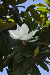 Similar image 1393823