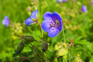 Similar image 1393825