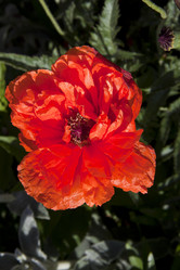 Similar image 1394256