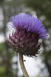 Similar image 1394257