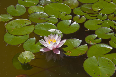 Similar image 1394259