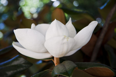 Similar image 1394291