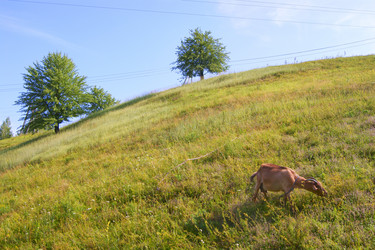 Similar image 1394292