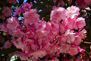 Similar image 1394325