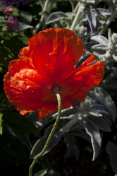 Similar image 1394326