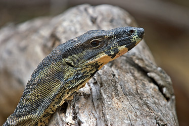 Similar image 1394364