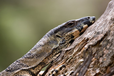 Similar image 1394365