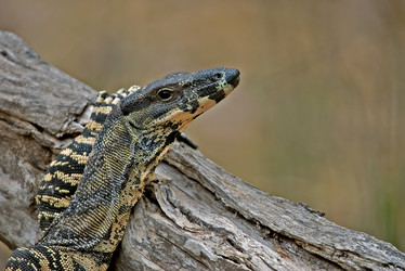 Similar image 1394371