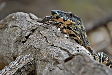 Similar image 1394379