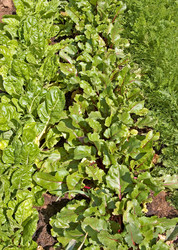 Similar image 1394385