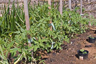 Similar image 1394386