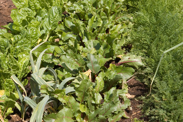 Similar image 1394390