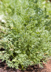 Similar image 1394398