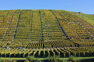 Similar image 1394463