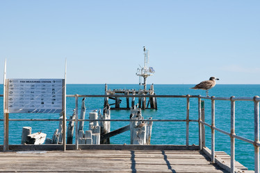 Similar image 1394496