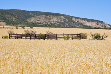 Similar image 1394505