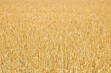 Similar image 1394508