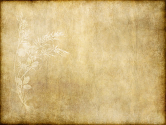 Similar image 1394595