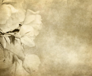 Similar image 1394624