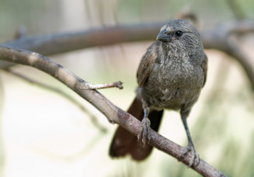 Similar image 1394680