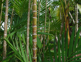 Similar image 1394706