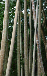 Similar image 1394710