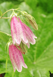 Similar image 1394861