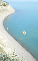 Similar image 1394886