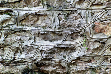 Similar image 1394899