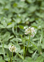 Similar image 1394901