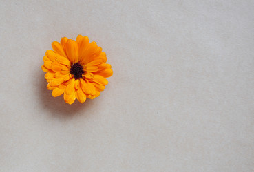 Similar image 1394914