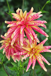 Similar image 1394915