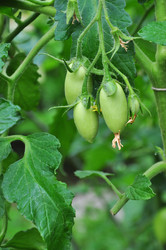 Similar image 1394916