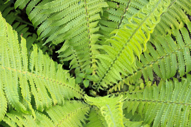 Similar image 1394922