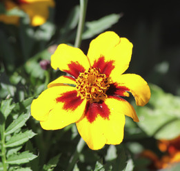 Similar image 1394924