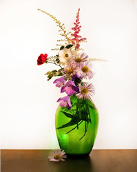 Similar image 1394937