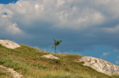 Similar image 1394947