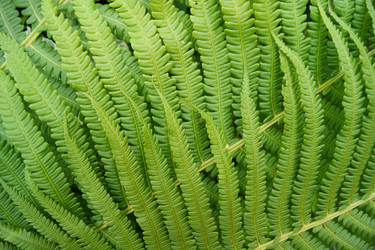 Similar image 1394950