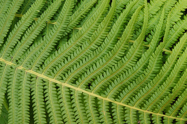 Similar image 1394951