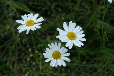 Similar image 1394954