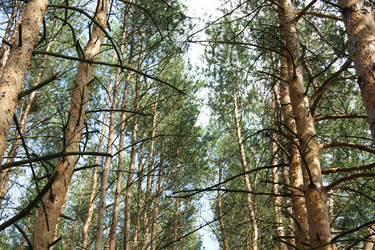 Similar image 1394956