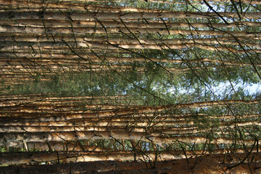 Similar image 1394957