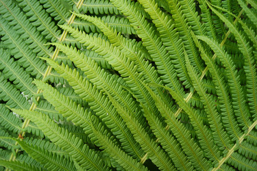 Similar image 1394960