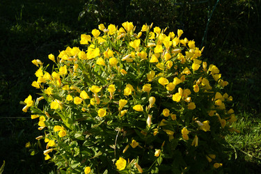 Similar image 1394975