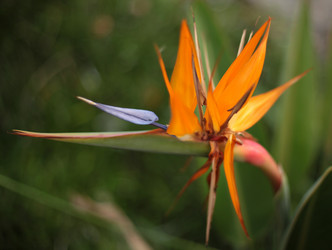 Similar image 1394980