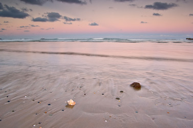 Similar image 1395003