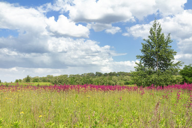 Similar image 1395041