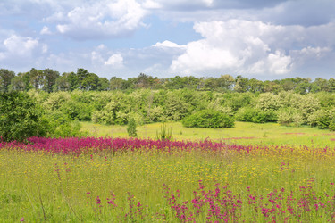 Similar image 1395042