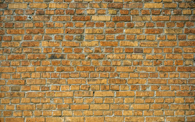 Similar image 1395079